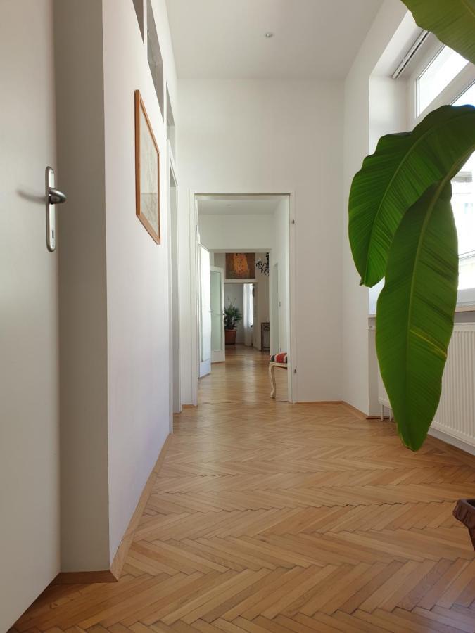 Sunny And Spacious Apartment Near City Centre Vídeň Exteriér fotografie